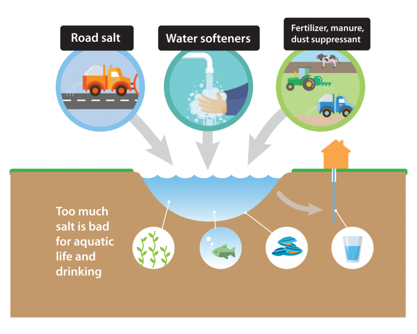 how-salt-gets-in-the-environment-clean-water-action